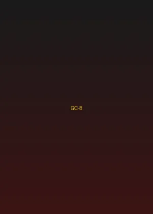 四虎影院 - 黑道风云海报